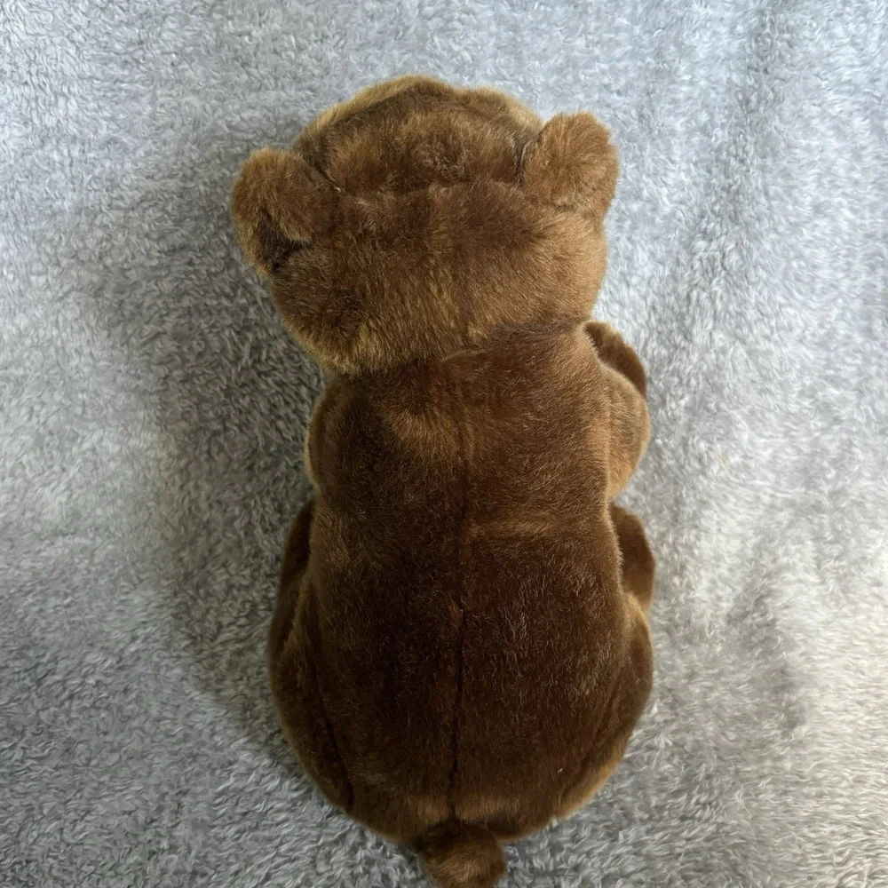 Kohls Cares Brown Bear Plush Eric Carle Stuffed Animal Toy 13